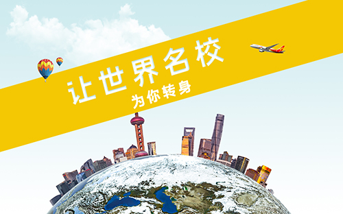 新sat都考什么