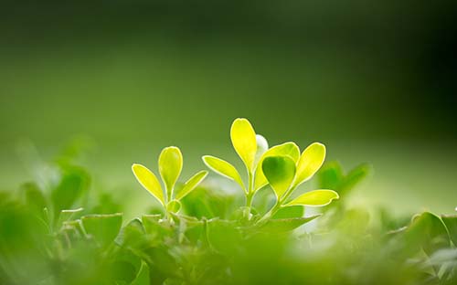 新老gre怎么换算_gre新旧分数换算